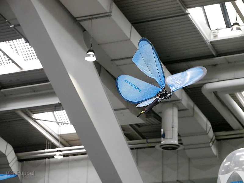 P4410547.JPG
