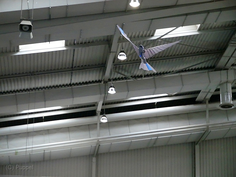 P4410749.JPG