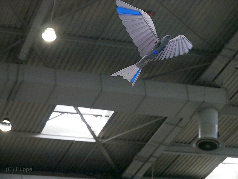 P4410755.JPG