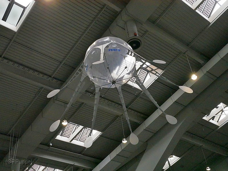 P4420107.JPG