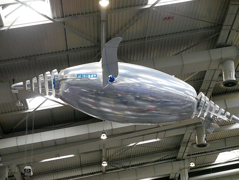 P4420150.JPG