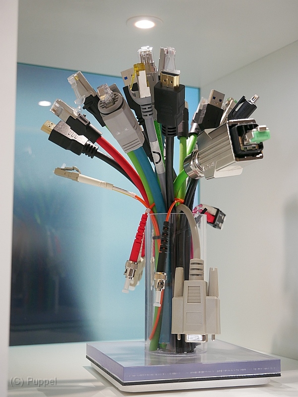 P4420461.JPG