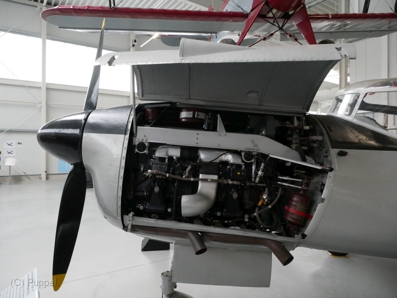 T-20220604-143638-P9820813-gx0.JPG