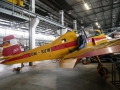 T-20220604-153921-P9830531-gx0