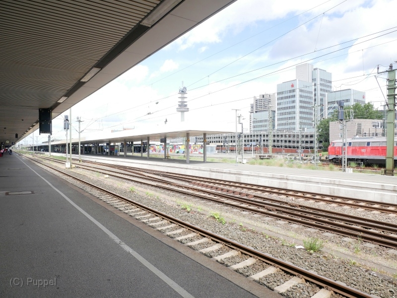 P9870991.JPG