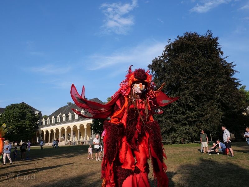 T_1040_P1888694_.JPG