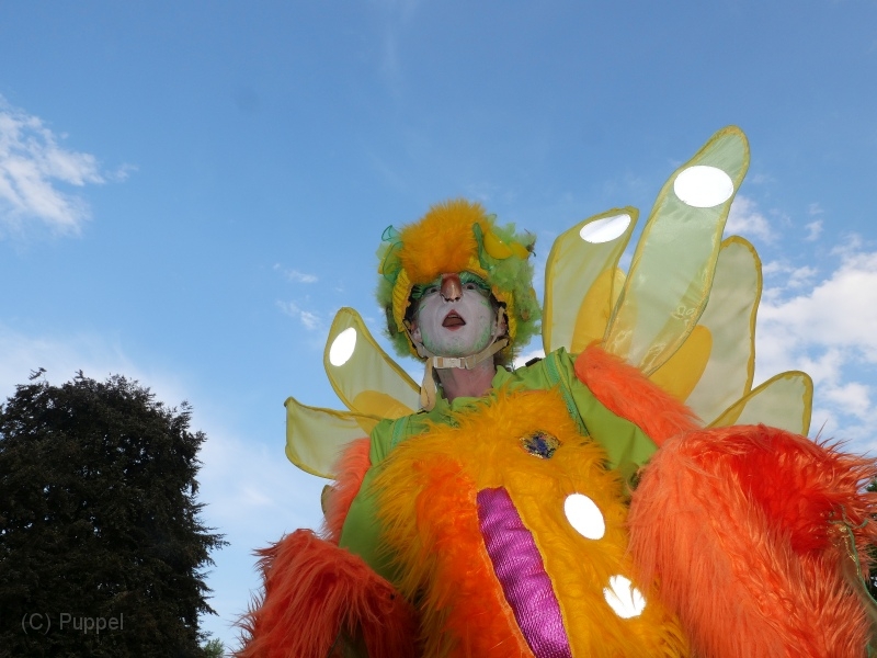 T_1040_P1888766_.JPG