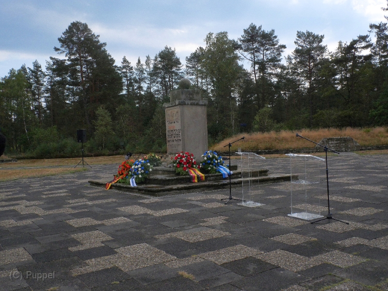 T-20220906-142439-P2766736-gx9.JPG